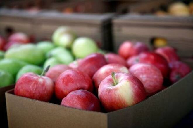 FILE PHOTO: Gala apples are for sale at the B&amp;B