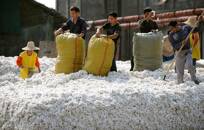 Trabalhadores do transporte de algodão na China