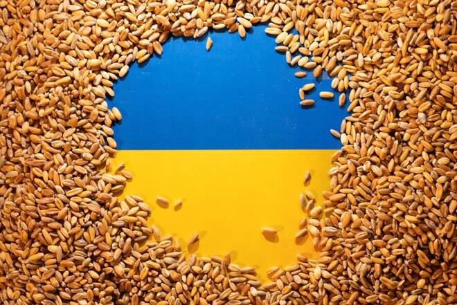 Bandeira da Ucrânia é coberta por grãos em foto de ilustração