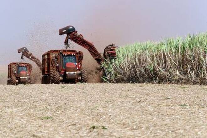 Foto de archivo ilustrativa de una cosecha de caña en un campo en Sao Martinho, en Pradopolis, Brasil