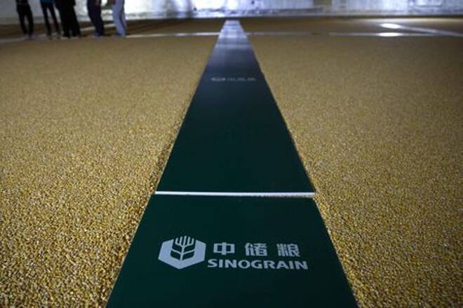 Imagen de archivo de granos de maíz almacenados en una bodega del almacenador estatal de granos Sinograin en Baoding, provincia de Hebei