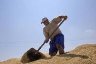 Imagen de archivo de un agricultor trabajando en una granja procesadora de trigo en Nikolaev, Ucrania.