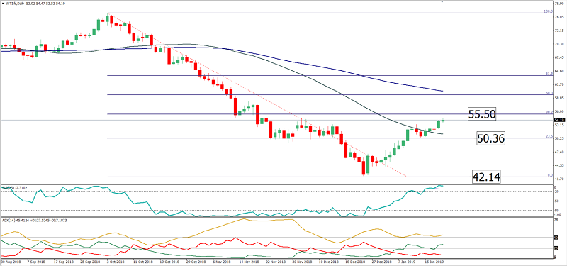WTI 21 01 2019