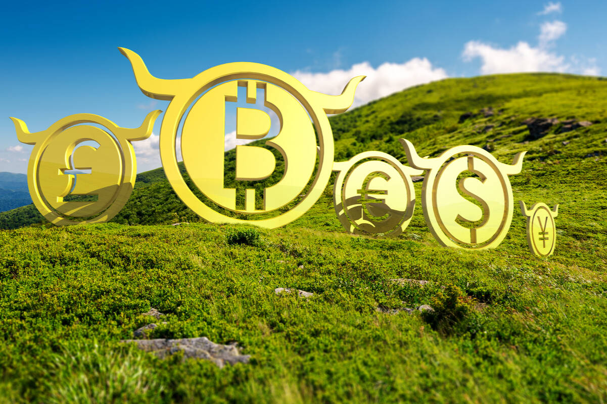 Bitcoin con símbolo alcista. FX Empire