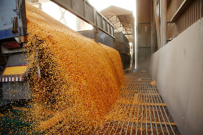 silo bag
