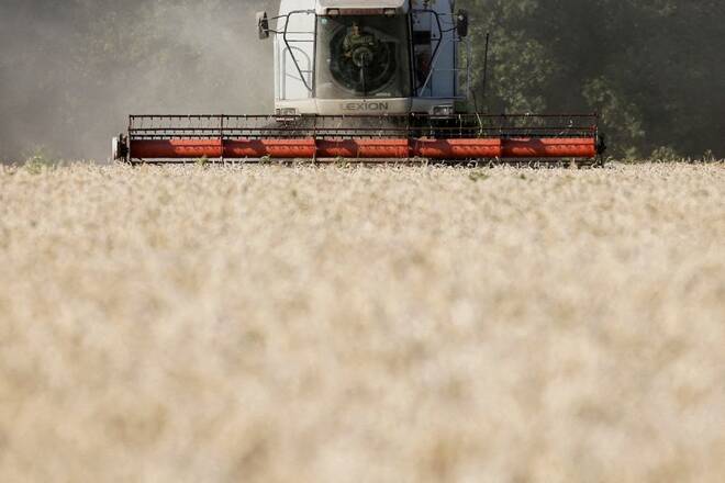 FOTO DE ARCHIVO: Una cosechadora en un campo de trigo cerca de Hrebeni