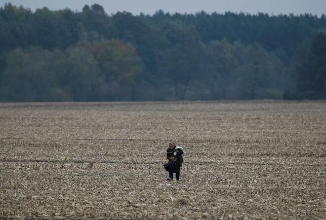 Foto de archivo de una mujer cosechando maíz cerca de la localidad ucraniana de Krupets