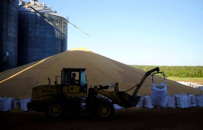 General view shows second corn (winter corn) stored outside of the silos that are full of corn, as a man uses a tractor near Sorriso in the Mato Grosso state