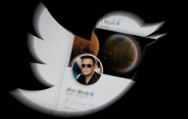 El perfil de Elon Musk a través del logo de Twitter