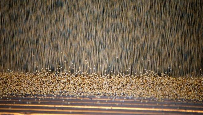 Foto de archivo: granos de soja se vierten desde un camión en una planta de almacenamiento en Carlos Casares, Buenos Aires
