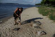 Pescador sostiene una raya muerta en Ilha do Fundao, a orillas de la bahía de Guanabara, en Río de Janeiro