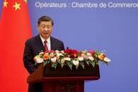 FOTO DE ARCHIVO. El presidente chino, Xi Jinping, habla en una reunión del consejo empresarial franco-chino en Pekín, China