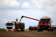 FOTO DE ARCHIVO. La soja se carga en un camión después de ser cosechada en una granja en Luziania, estado de Goiás, Brasil,