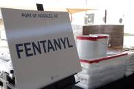 FOTO DE ARCHIVO: Paquetes de fentanilo en su mayoría en forma de polvo y metanfetamina, que Aduanas y Protección Fronteriza de Estados Unidos dicen que incautaron de un camión que cruza a Arizona desde México