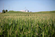 Foto de archivo de un campo de maíz en Wyanet, Illinois