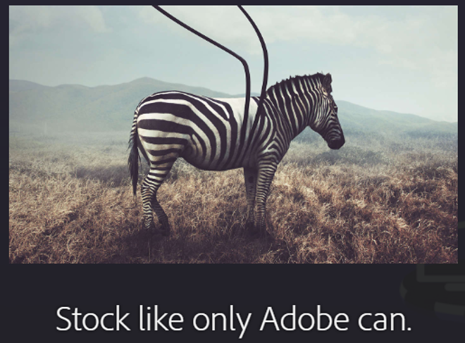 Adobe, previsioni – Photoshop sui risultati economici