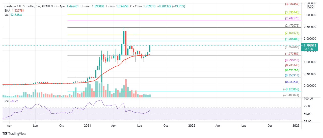 Prezzo Cardano