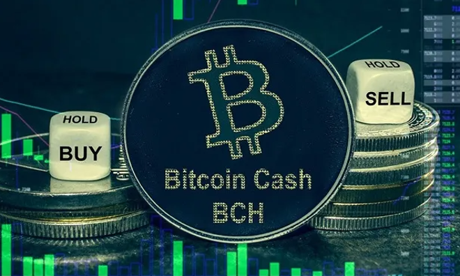 Bitcoin Cash (BCH)v