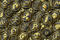 criptovalute crypto