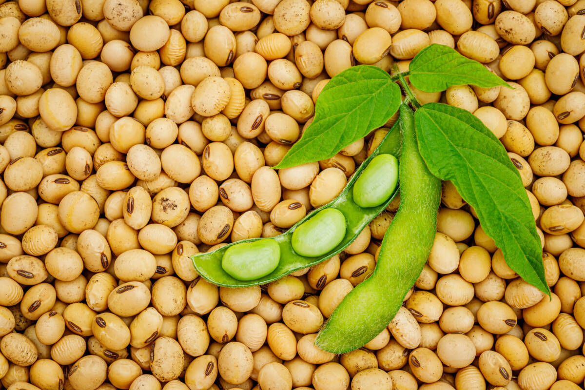 Investire in Biodiversità