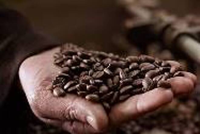 Soft Commodity, Analisi Tecnica e Fondamentale Settimanale – Cacao al retest, male caffè e zucchero