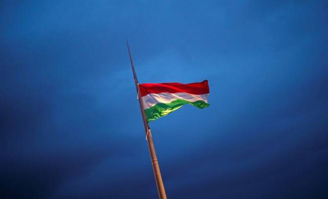Una bandiera ungherese a Budapest