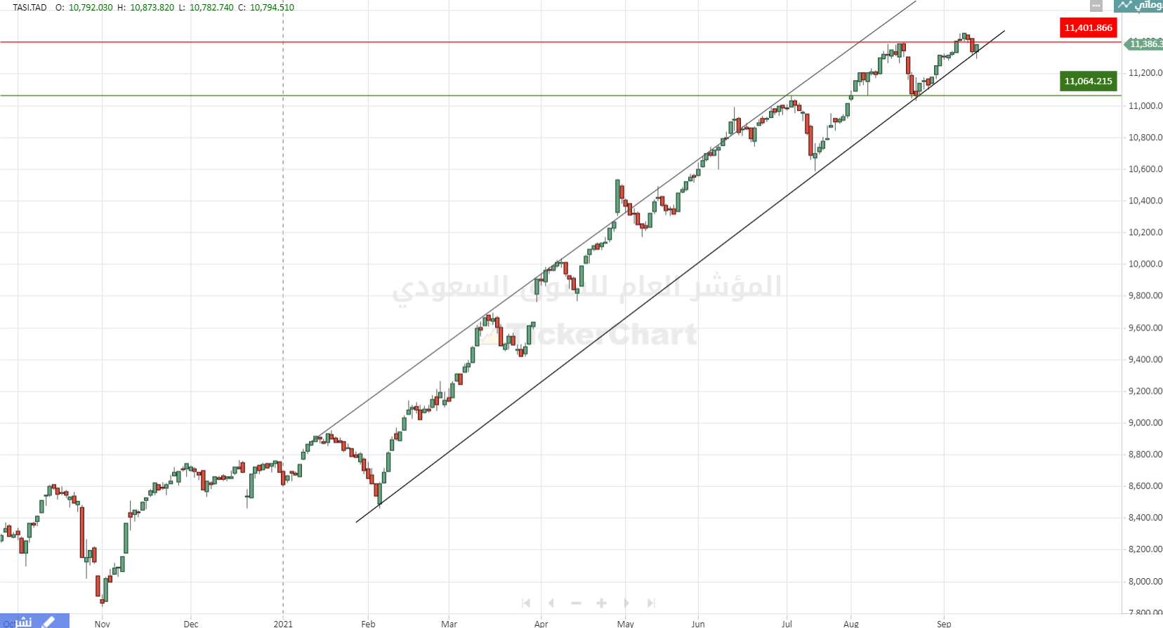 مؤشر سوق الأسهم السعودي تاسي
