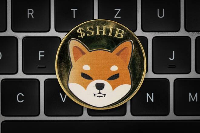 Shiba Inu Coin Keybord