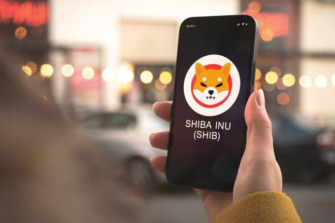 Shiba Inu auf Handy
