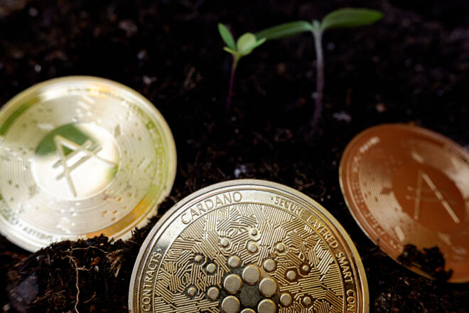 ardana Coin in Erde gesplanzt