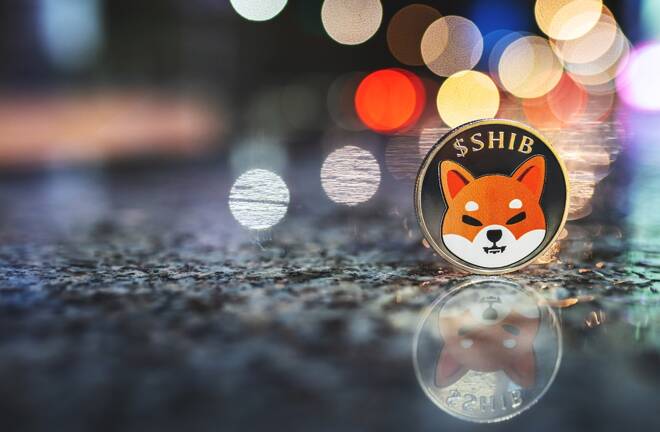 Shiba Inu Coin auf Strasse