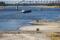 ARCHIV: Transportschiffe auf dem teilweise ausgetrockneten Flussbett des Rheins in Düsseldorf, Deutschland