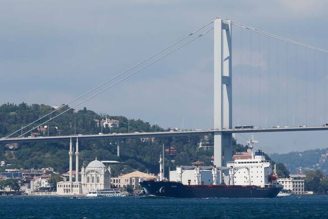 ARCHIV: Das unter der Flagge Sierra Leones fahrende Frachtschiff Razoni befährt beladen mit ukrainischem Getreide den Bosporus in Istanbul, Türkei