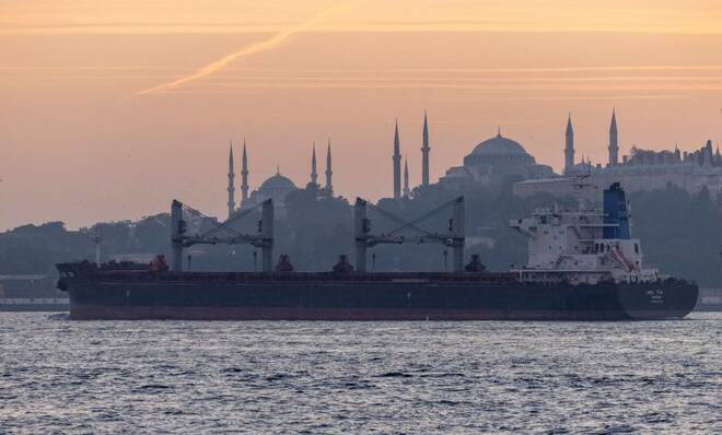 ARCHIV: Asl Tia, ein Frachtschiff mit ukrainischem Getreide, durchquert den Bosporus in Istanbul, Türkei