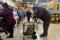 ARCHIV: Kunden kaufen Lebensmittel vor dem Thanksgiving-Fest in einem Supermarkt in Chicago, Illinois