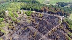 ARCHIV: Ein Luftbild zeigt einen Wald in der Nähe von Gummersbach, Deutschland