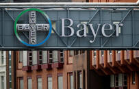 ARCHIV: Das Bayer AG-Logo in Wuppertal, Deutschland