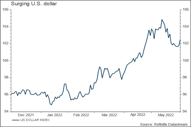 Surging U.S. Dollar –