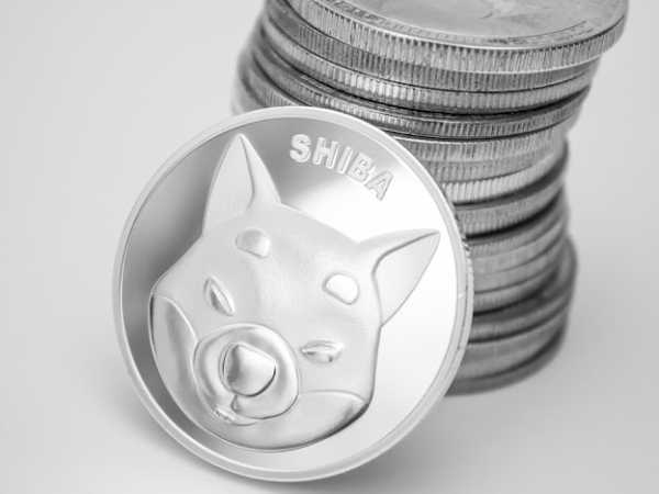 Newegg Adds Shiba Inu to Payment Option