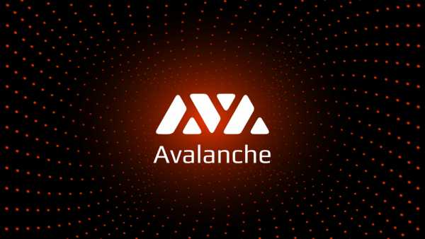 Colony Raises .5 Million To Support Avalanche Applications