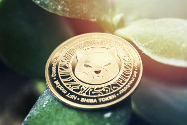 Shiba Inu Coin – Bears Target a Slide to sub-alt=