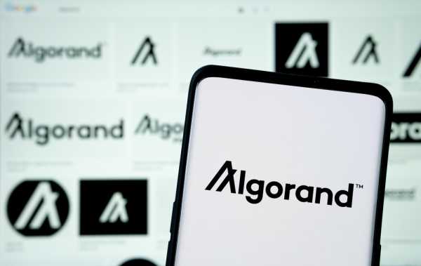 Algorand Rallies by 15% Following the Launch of DeFi Incentives