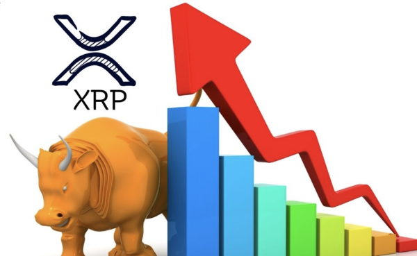 28 Whales Exit after Ripple Co-Founder Hack: Can XRP Price Recover?