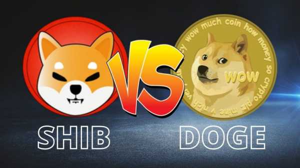 Dogecoin (DOGE) vs. Shiba Inu (SHIB) —Most Profitable Memecoin 2024 