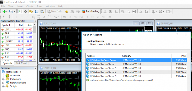Hot forex login